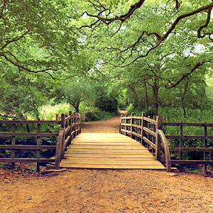 älteres Ehepaar auf Rudergerät